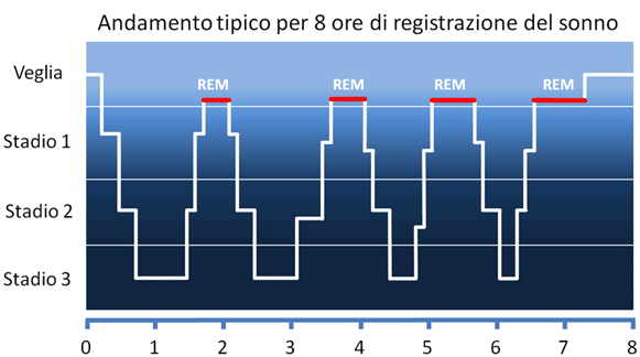 fasi del sonno